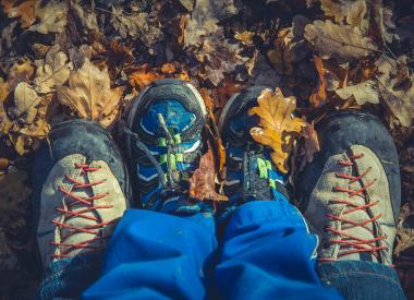 Child in leafs
